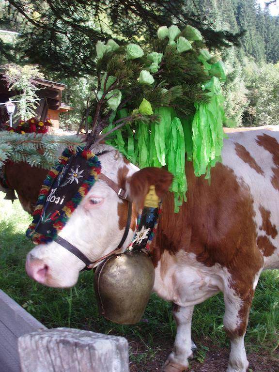 Ferienwohnung Wohlfartstaetter Auffach Buitenkant foto